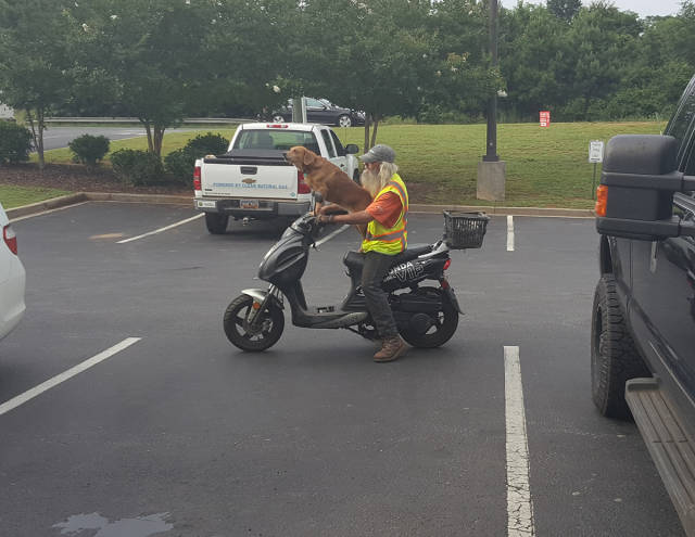 Content Image