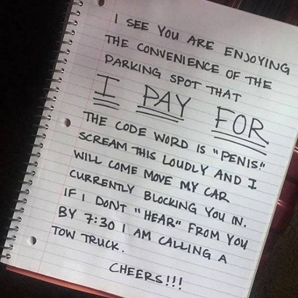 Morning Picdump