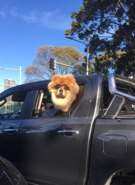 Daily Picdump