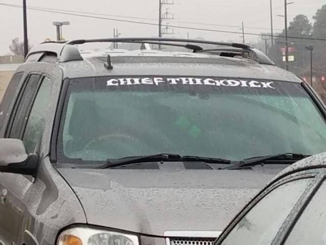 Daily Picdump
