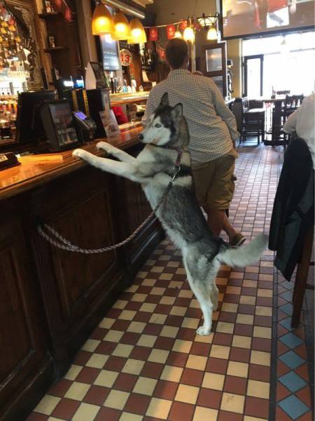 Daily Picdump