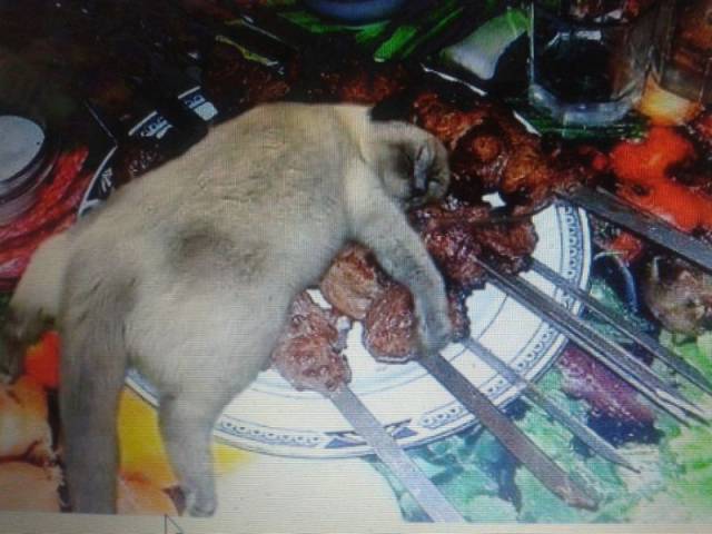 Content Image