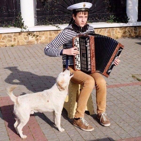 Content Image