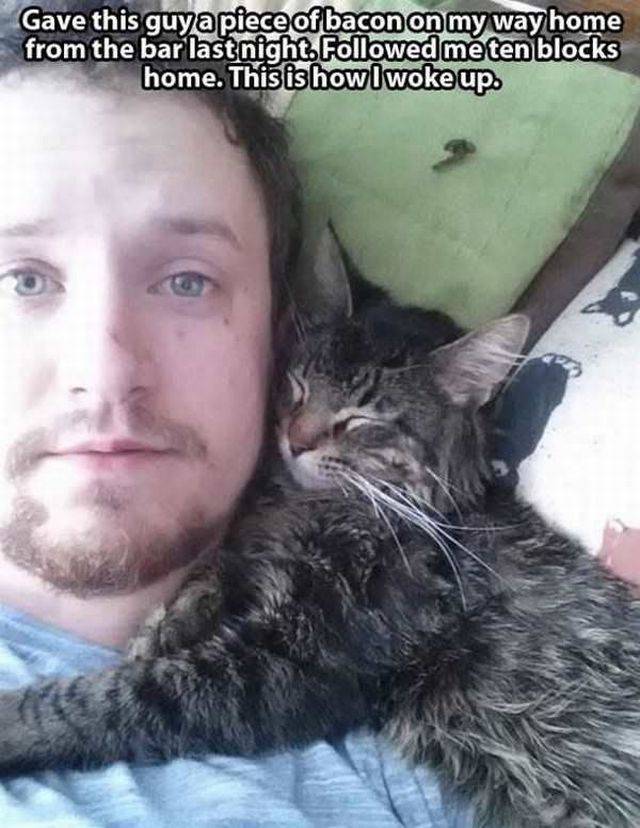 Daily Picdump