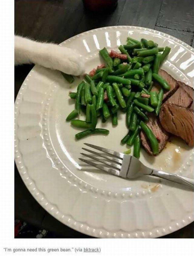Content Image