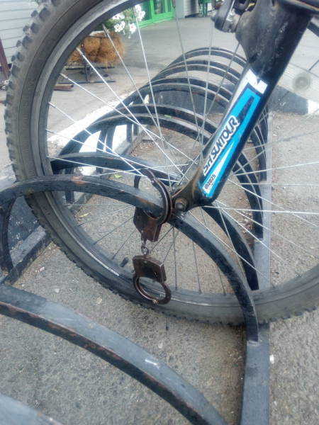 Morning Picdump