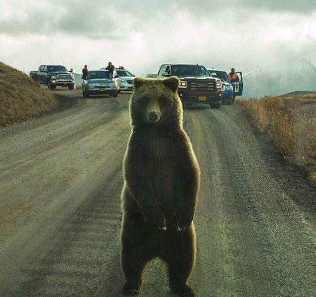 Daily Picdump