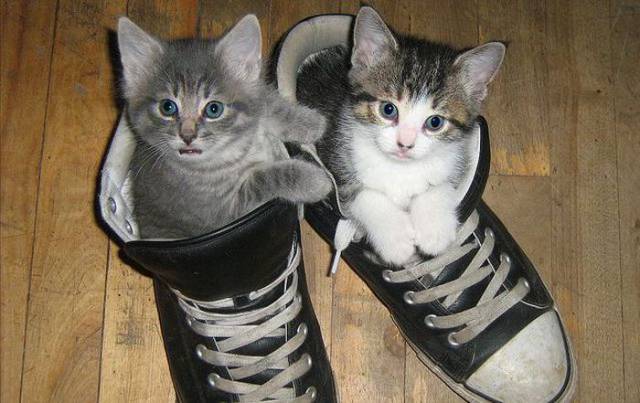 Daily Picdump