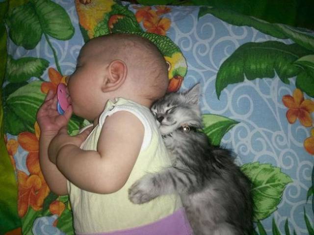 Content Image