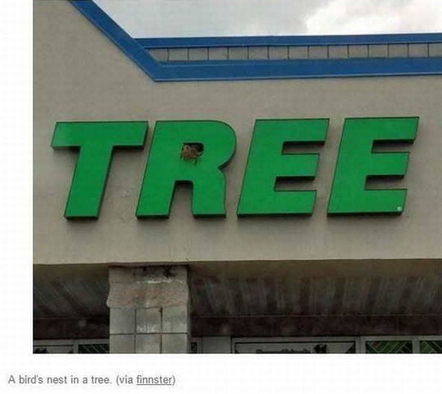 Content Image