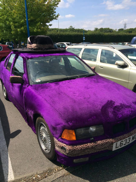 Content Image
