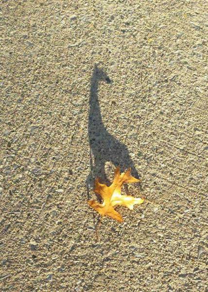 Content Image
