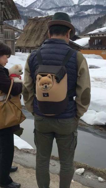 Content Image