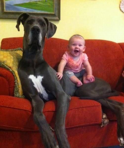 Daily Picdump