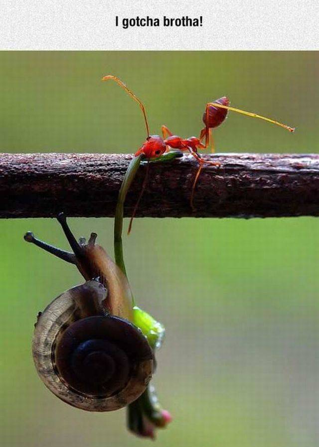Daily Picdump