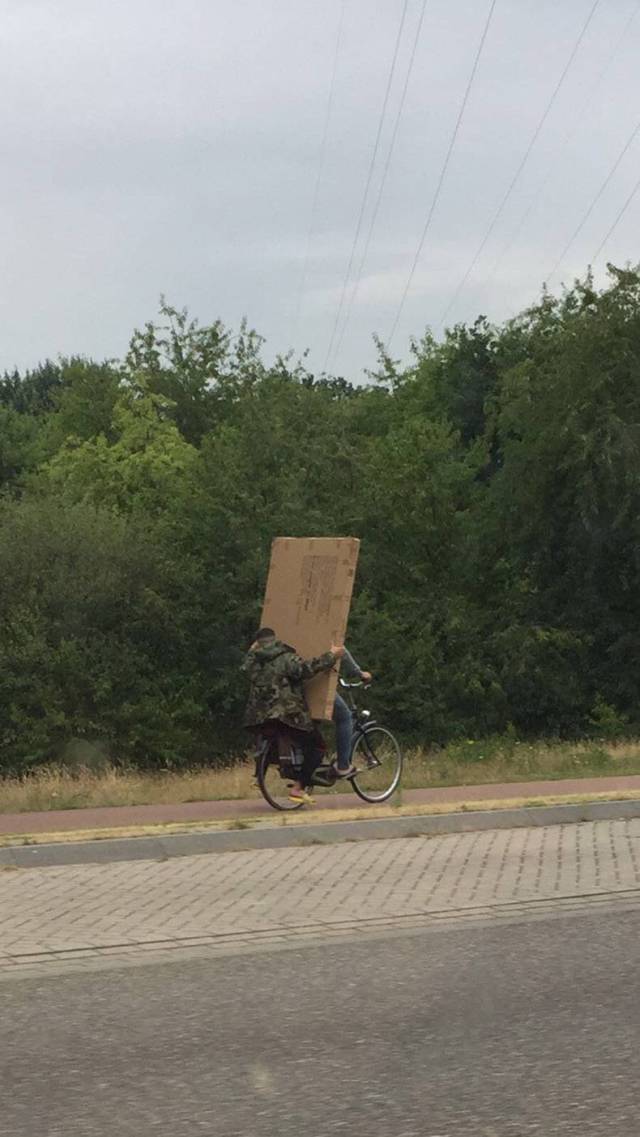 Content Image