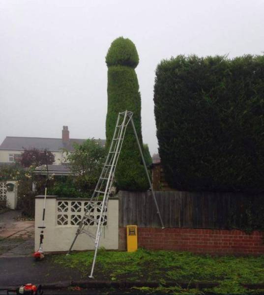 Daily Picdump