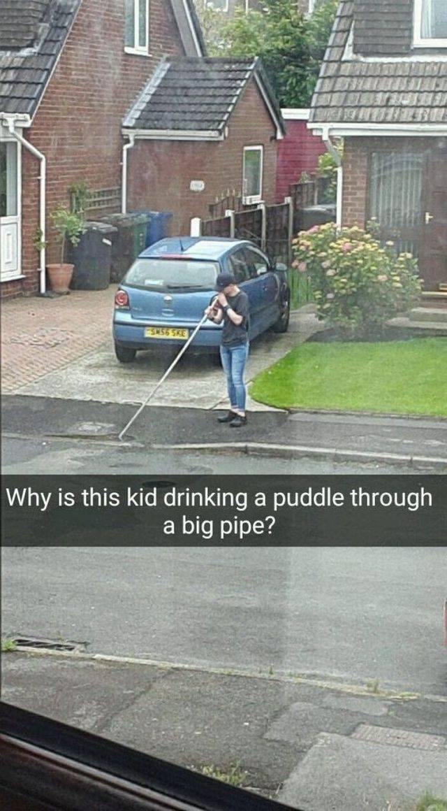 Content Image