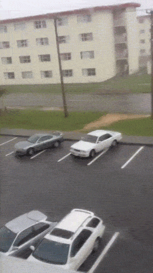 Wind Will Do Whatever It Wants With You