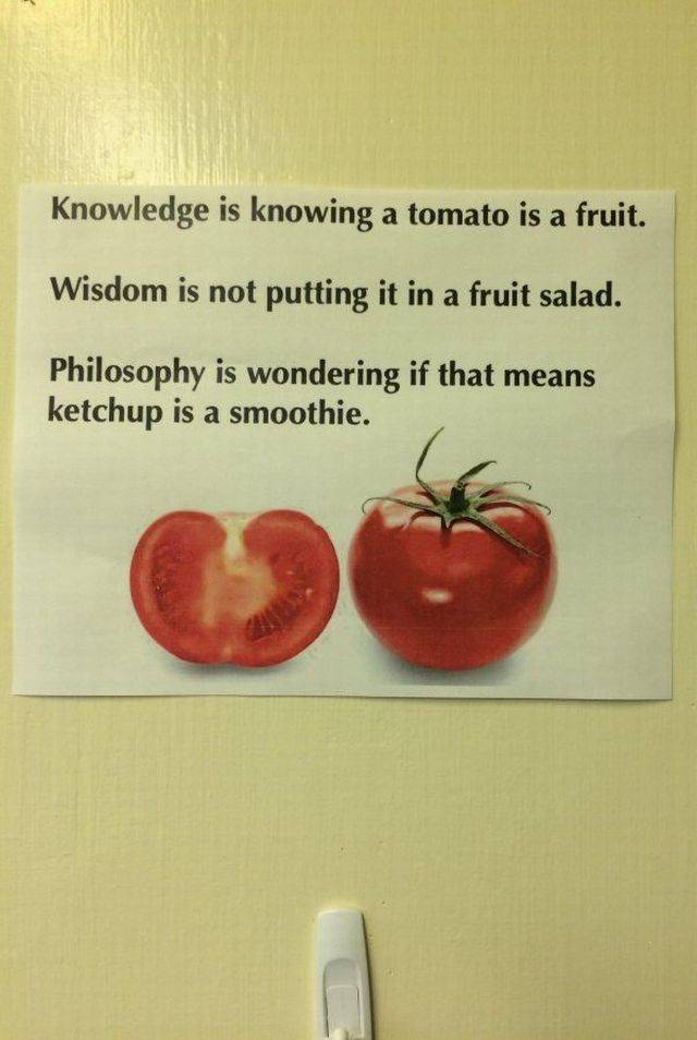 Daily Picdump