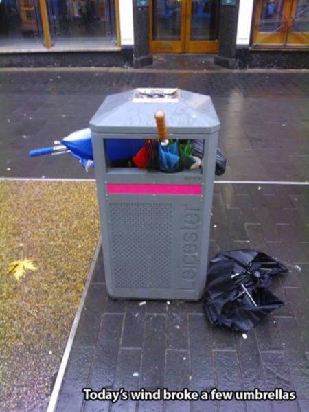 Wind Will Do Whatever It Wants With You