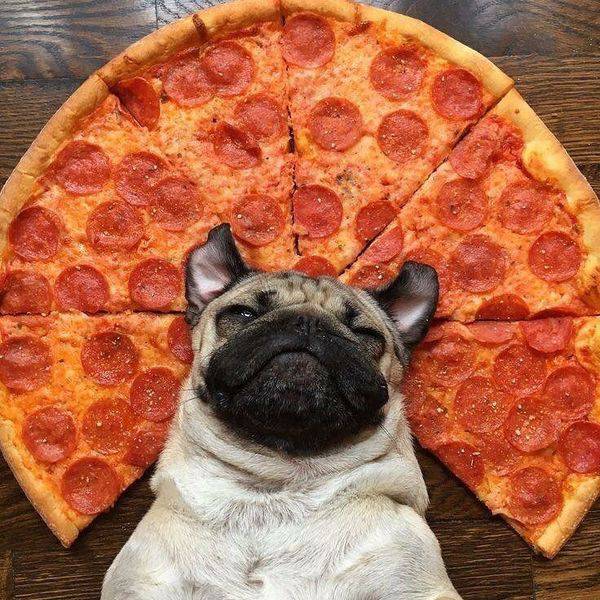 Daily Picdump
