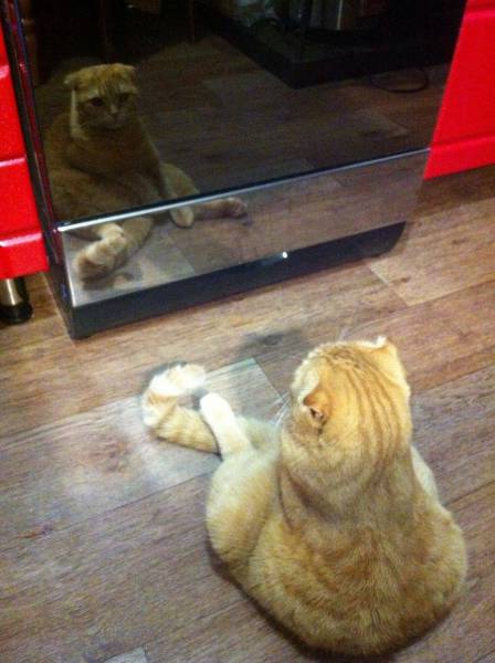 Daily Picdump