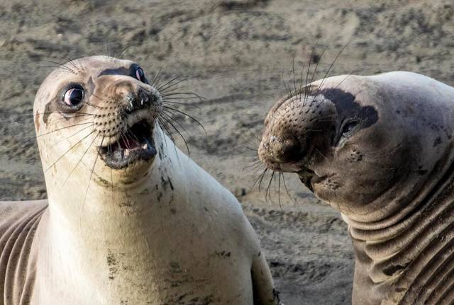 Daily Picdump
