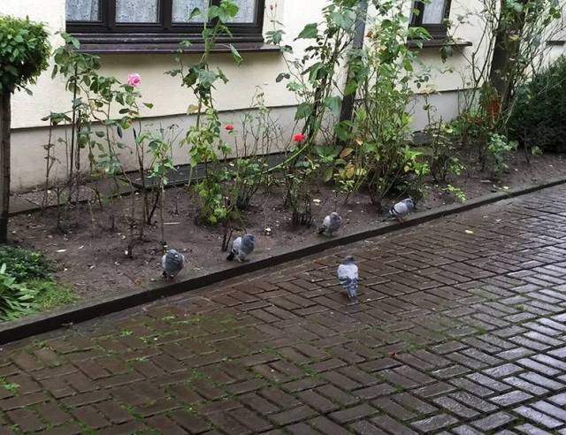 Daily Picdump