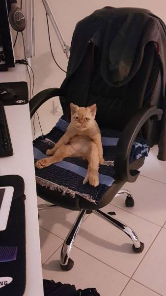 Daily Picdump