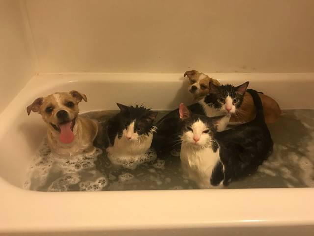 Daily Picdump