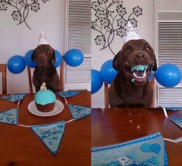 Daily Picdump