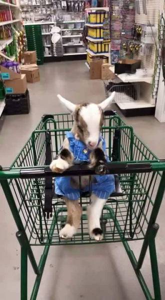 Daily Picdump