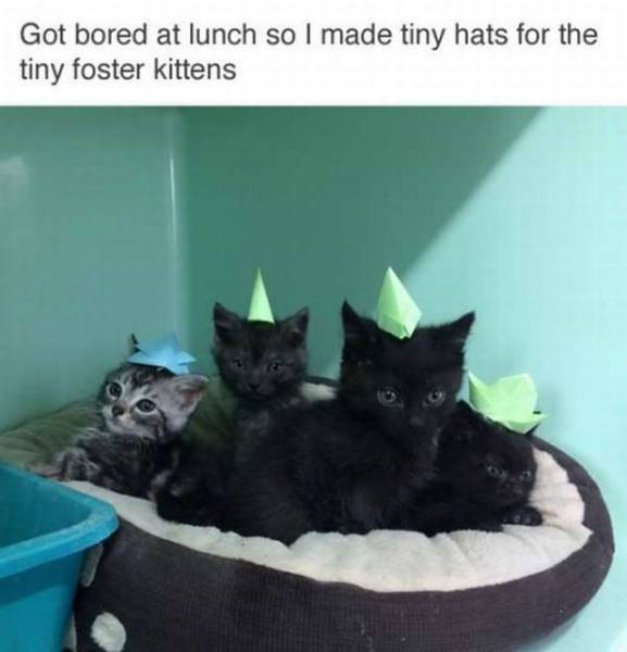 Content Image