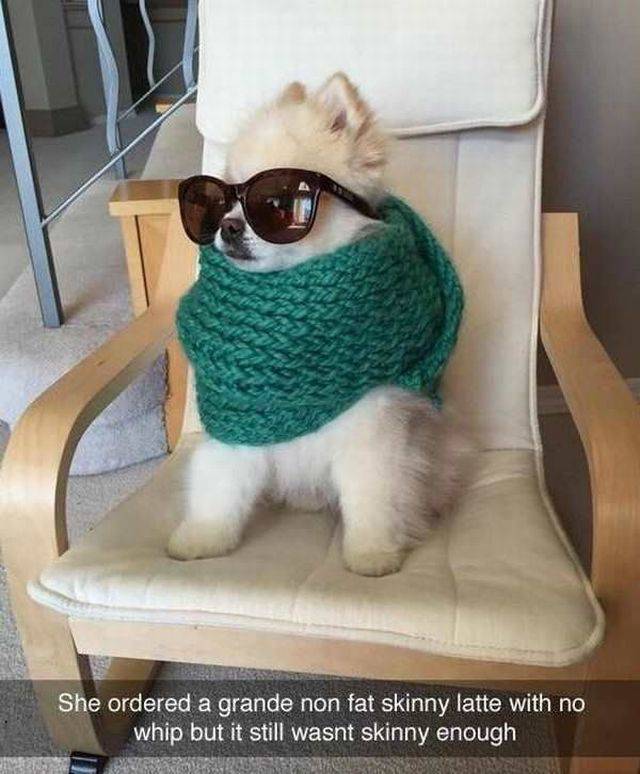 Daily Picdump