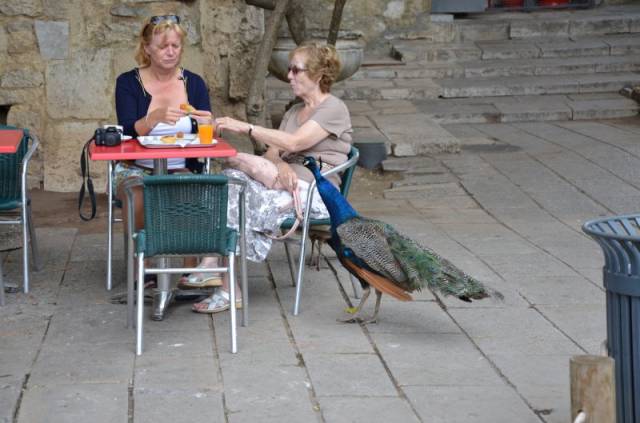Morning Picdump