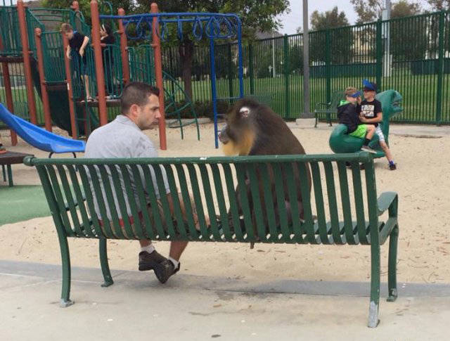 Morning Picdump