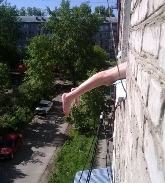 Morning Picdump