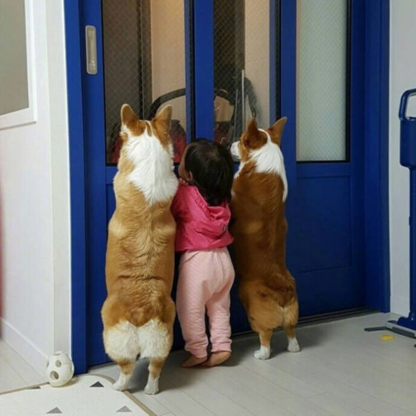 Morning Picdump