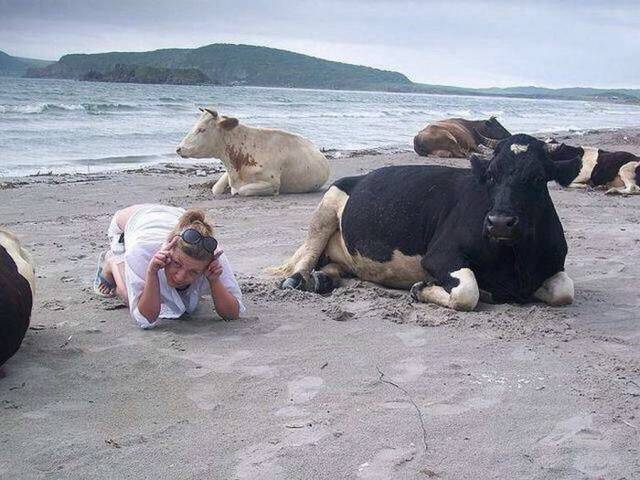 Daily Picdump