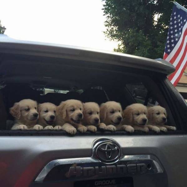 Daily Picdump