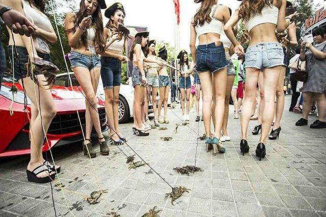 Daily Picdump