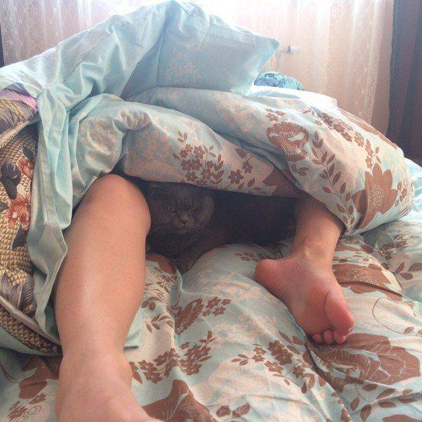 Content Image