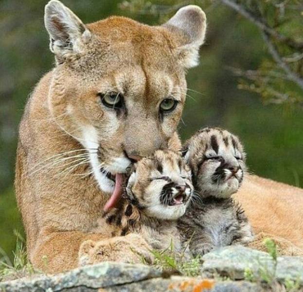 Morning Picdump