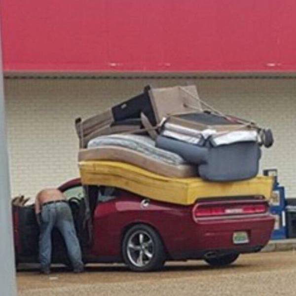 Content Image