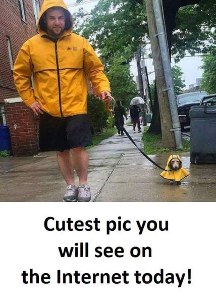 Content Image