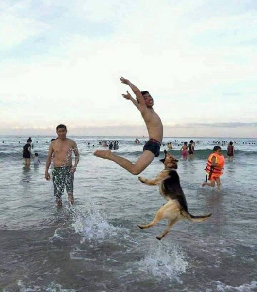 Daily Picdump