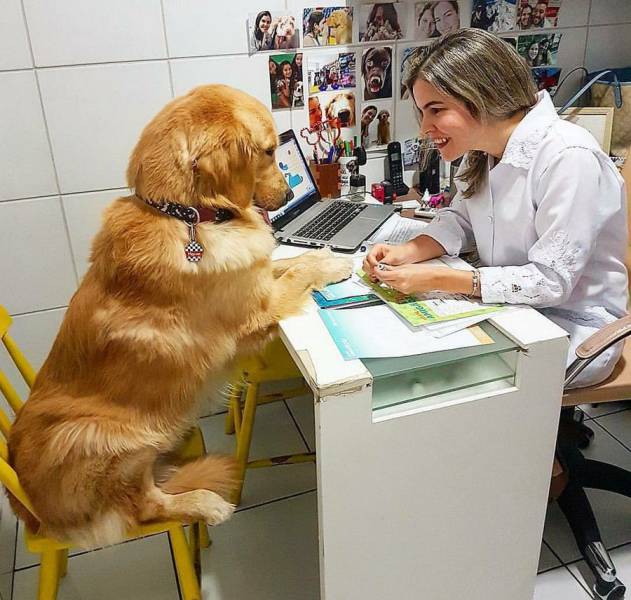 Daily Picdump