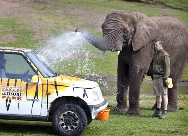 Daily Picdump