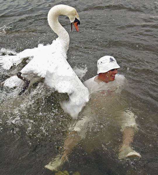Daily Picdump